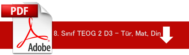 TEOG 3 D3